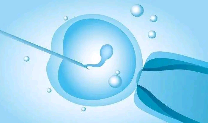 淮南代孕包成功费用 淮南做试管婴儿多少钱 ‘b超单囊胚看男女’