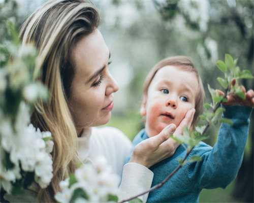 安徽供卵代怀,2026安徽试管婴儿医院排名高的有哪些？附安徽试管前十医院及成