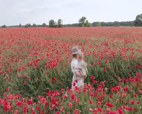 医院精子人工受孕费用明细及注意事项