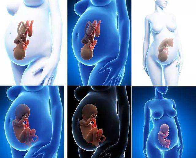 安徽hpv疫苗接种点地址及预约电话,安徽黄热病疫苗接种点