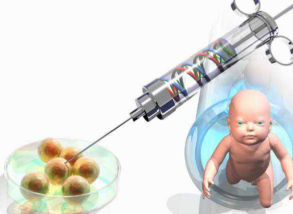 小儿感冒清热颗粒*能供卵试管吗