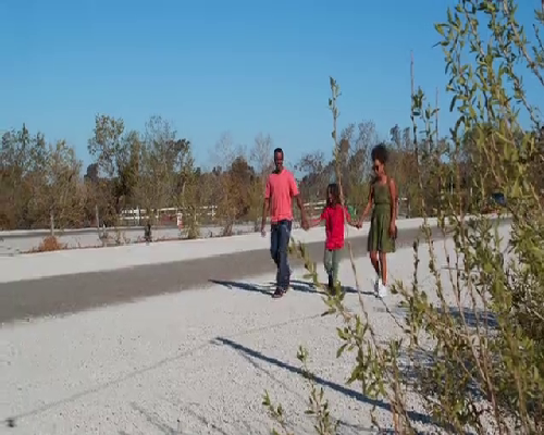 专业代怀哪里有_50岁借卵子自怀,湖北妇幼能做供卵试管吗？附详细成功率情况