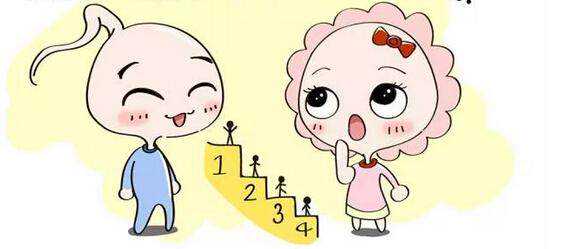 2026
代孕_365助孕实力雄厚,做试管找医生!看国内外试管婴儿医院排行榜_费用_医