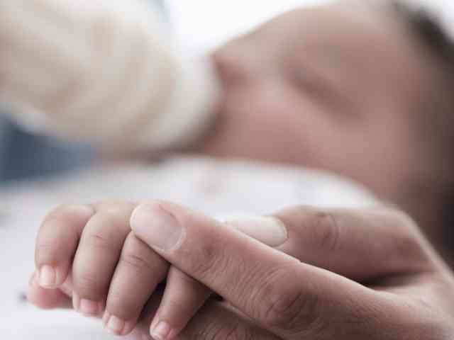 龙凤胎与中蜂蜂王的人工授精：哪个更适合你的需求？