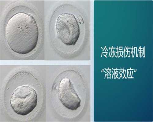 试管供卵_供卵子机构,北京供卵试管包成功博客（河北供卵试管）