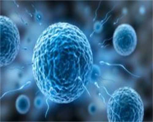 艾灸灸哪里助孕（孕前检查挂哪个科）*代生包男宝