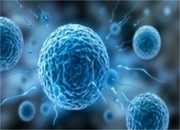 艾灸灸哪里助孕（孕前检查挂哪个科）*代生包男宝