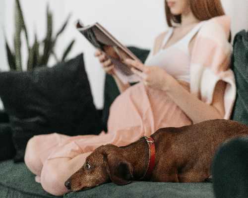 安徽代生服务,安徽试管婴儿费用明细详情一览表，附2026安徽试管生男孩医院名