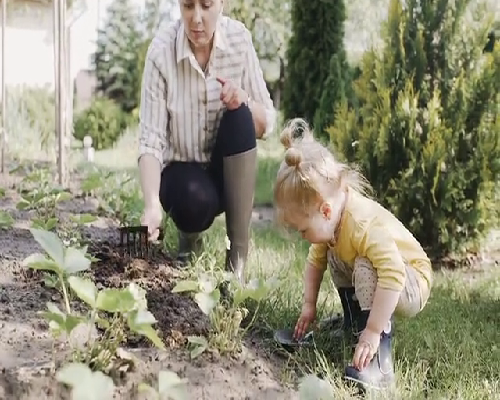 安徽治卵巢早衰最好的医生,安徽供卵首来十月幸孕助孕